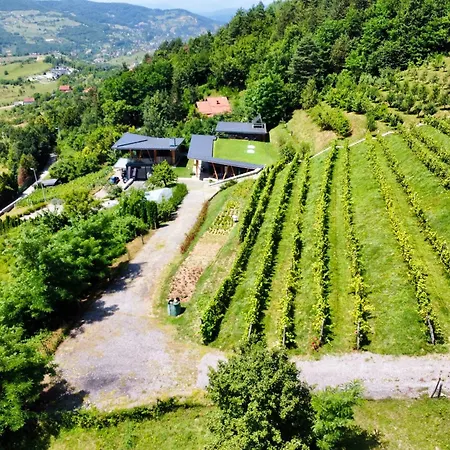 Apartment Hedona Vineyard