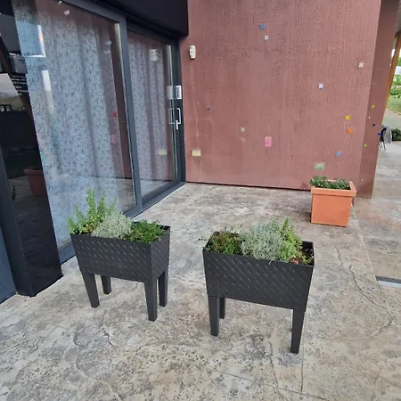 Hedona Vineyard Apartment *